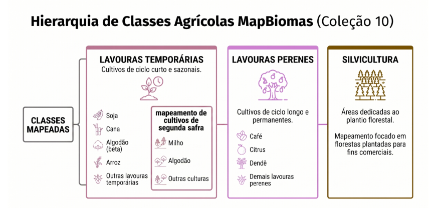 Fluxo de classificação supervisionada do mapeamento de uso agrícola