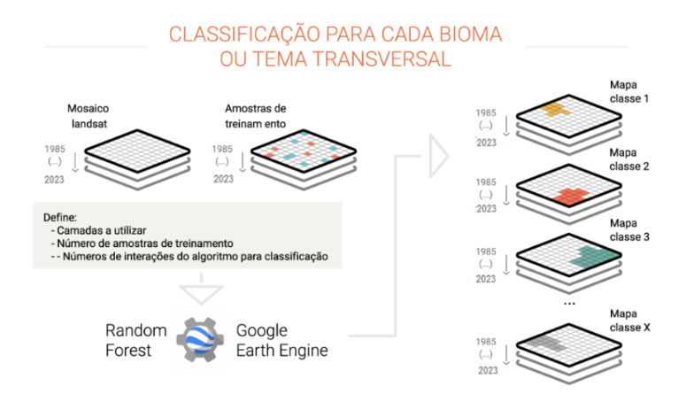 Exemplo de detalhe de classificação por bioma — Cobertura 30m MapBiomas Brasil