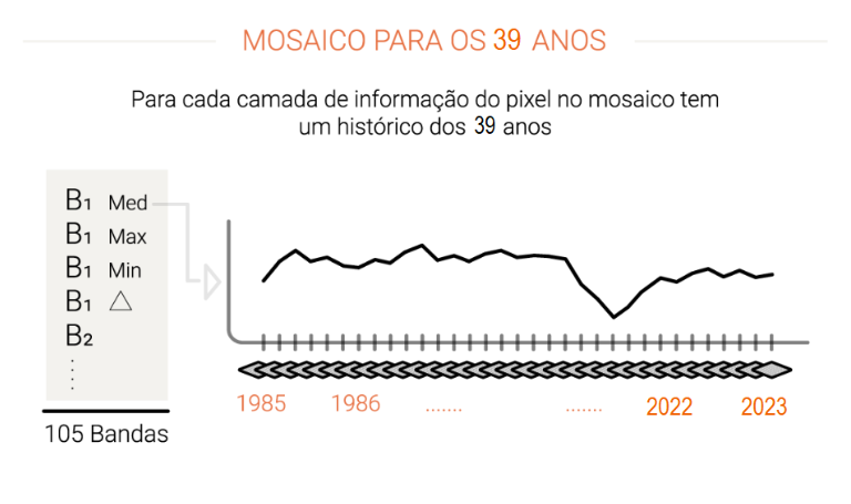 Mosaico para 1 ano — Cobertura 30m MapBiomas Brasil