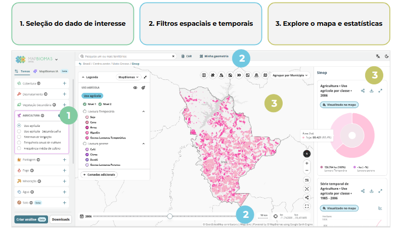 Passo 1 — Seleção do dado na Plataforma MapBiomas